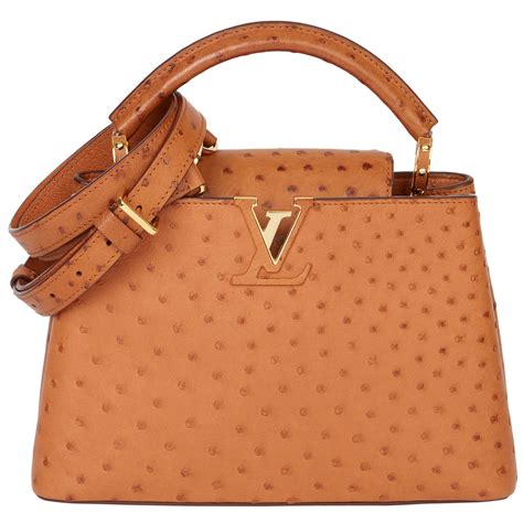 louis vuitton ostrich leather bag|Capucines Bb Ostrich Leather .